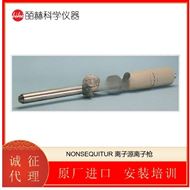 MODEL 1401NONSEQUITUR 离子源离子枪