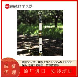 英国SENTEK  电极 EnviroSCAN probe 探头