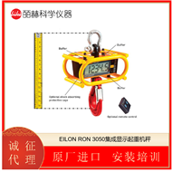 RON 3050以色列 EILON 集成显示起重机秤