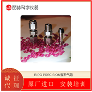 美国BIRD PRECISION 宝石气阻