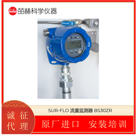 加拿大SUR-FLO 流量监测器 BS30ZR