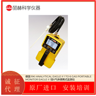 EAGLE II德国 RKI ANALYTICAL 气体便携式监测仪